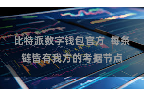比特派数字钱包官方 每条链皆有我方的考据节点
