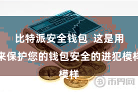 比特派安全钱包  这是用来保护您的钱包安全的进犯模样