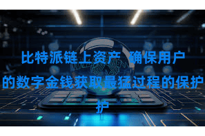 比特派链上资产  确保用户的数字金钱获取最猛过程的保护
