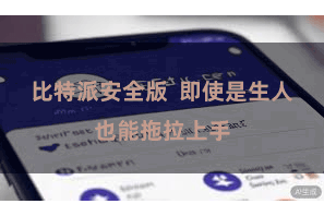 比特派安全版  即使是生人也能拖拉上手