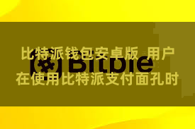 比特派钱包安卓版  用户在使用比特派支付面孔时
