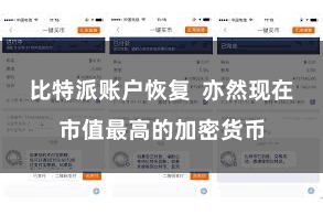 比特派账户恢复 亦然现在市值最高的加密货币