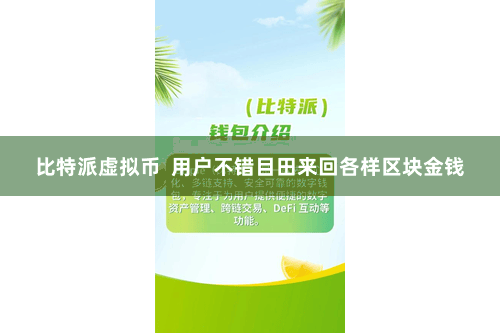 比特派虚拟币  用户不错目田来回各样区块金钱