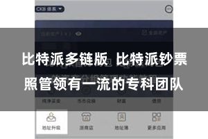 比特派多链版  比特派钞票照管领有一流的专科团队