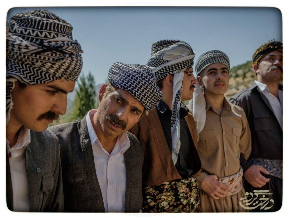 اکران «درخت گردو» در کردستان/ ۲ فیلم دیگر روی پرده می‌آیند